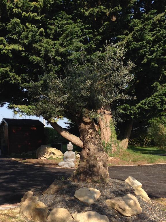 Bed and Breakfast Le Domaine De Saint-Thomin Nostang Exterior foto